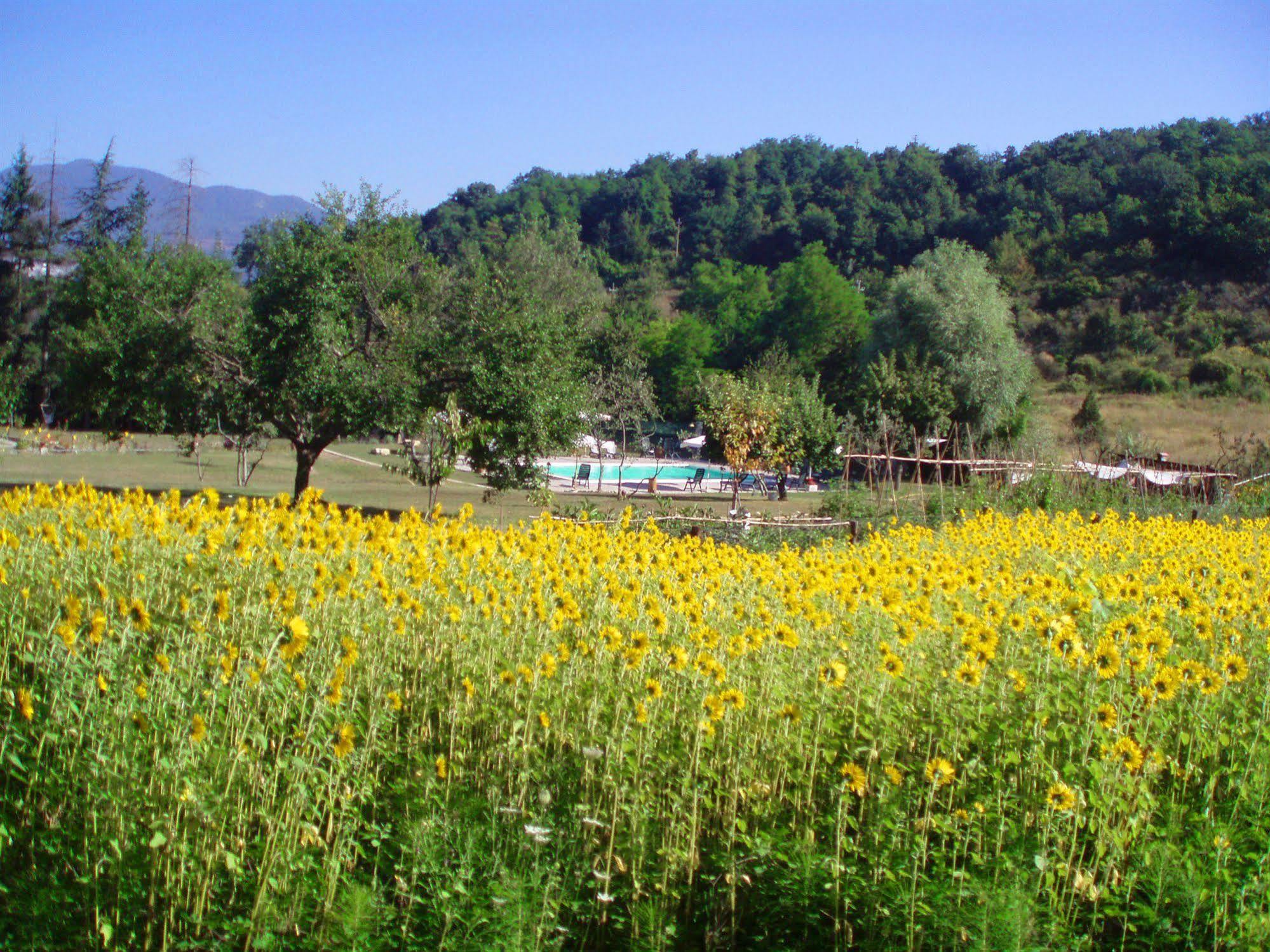 ברברינו די מוג'לו La Valle De' Medici מראה חיצוני תמונה